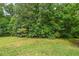 A beautiful view showcasing green space in the backyard with mature trees in the background at 108 Teagan Ct, Chapel Hill, NC 27516