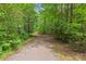 Concrete path winding through a verdant forest, offering a serene and private escape at 108 Teagan Ct, Chapel Hill, NC 27516