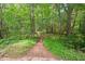 Picturesque wooded trail, surrounded by lush greenery and mature trees at 108 Teagan Ct, Chapel Hill, NC 27516