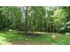 Lush backyard with mature trees and green grass, complete with wildlife viewing in a serene setting at 12037 Deer Run, Raleigh, NC 27614