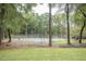 Scenic community tennis courts surrounded by mature trees and lush greenery for recreational enjoyment at 12037 Deer Run, Raleigh, NC 27614