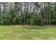 Spacious backyard featuring a lush green lawn, mature trees, and natural privacy for outdoor enjoyment at 121 Longleaf Pine St, Clayton, NC 27527