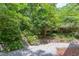 A backyard stone path surrounded by lush greenery at 1405 Pennsylvania Ave, Durham, NC 27705