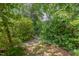 Lush backyard with brick and gravel paths winding through trees and various plants at 1405 Pennsylvania Ave, Durham, NC 27705