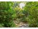 Picturesque brick path surrounded by lush greenery creates a serene and inviting backyard at 1405 Pennsylvania Ave, Durham, NC 27705