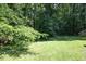 Lush backyard with green grass and mature trees, creating a peaceful outdoor space at 146 Greenmont Ln, Cary, NC 27511