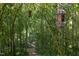Serene bamboo forest with hanging decorative lanterns and a peaceful, enchanting ambiance at 1613 Euclid Rd, Durham, NC 27713