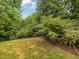 Landscaped backyard with lush greenery, plants, and beautiful shrubbery at 1804 Amberly Ledge Way, Cary, NC 27519