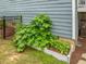 Beautifully landscaped garden area featuring lush plants and a decorative planter box, near the house at 1804 Amberly Ledge Way, Cary, NC 27519