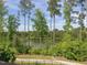 Tranquil lake view framed by tall pine trees and vibrant green bushes at 1804 Amberly Ledge Way, Cary, NC 27519