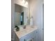Bathroom features a vanity with white cabinets, a white countertop, and a mirrored backsplash at 209 Stone River Dr, Wendell, NC 27591