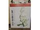 Map displaying available homes, amenities, and key locations within the community at 209 Stone River Dr, Wendell, NC 27591