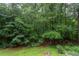 Lush backyard, surrounded by mature trees, provides a private and picturesque outdoor space at 3833 Hidden Branches Dr, Raleigh, NC 27613