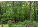Serene backyard surrounded by towering trees and lush greenery, perfect for a peaceful escape at 3833 Hidden Branches Dr, Raleigh, NC 27613