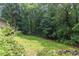 Lush greenery and tall trees provide a serene backdrop for this expansive and private backyard at 3833 Hidden Branches Dr, Raleigh, NC 27613