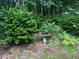 Serene backyard garden with birdbath, offering a peaceful retreat surrounded by nature at 3833 Hidden Branches Dr, Raleigh, NC 27613