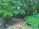 Backyard features lush greenery at 3833 Hidden Branches Dr, Raleigh, NC 27613