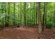Peaceful woods featuring mature trees and natural undergrowth provide a tranquil, shaded outdoor space at 3833 Hidden Branches Dr, Raleigh, NC 27613
