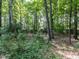 Wooded yard with natural foliage at 5005 Lenoraway Dr, Raleigh, NC 27613