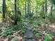 Wooded yard with stone pathway at 5005 Lenoraway Dr, Raleigh, NC 27613