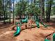 Fun playground set in a beautiful wooded area with mature trees that offers a safe and exciting play space for  at 5309 Overtop Ln, Raleigh, NC 27613