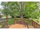 Backyard deck overlooks a lush, green backyard with beautiful landscaping and mature trees at 601 E Franklin St, Raleigh, NC 27604