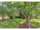 Backyard deck overlooks a lush, green backyard with beautiful landscaping and mature trees at 601 E Franklin St, Raleigh, NC 27604