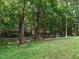Fenced backyard with mature trees and a grassy lawn at 10101 Daviton Ct, Raleigh, NC 27615