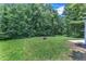 Expansive backyard features lush greenery and ample space for outdoor activities at 1202 Kendall Dr, Durham, NC 27703