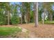 Expansive backyard featuring mature trees, lush greenery, and natural beauty at 3034 Lewis Farm Rd, Raleigh, NC 27607
