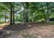 Wooded backyard with mature trees, seating area, and decorative sunflower at 120 Feezor Ct, Clayton, NC 27527
