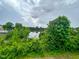 Scenic view of a serene lake surrounded by lush trees and cloudy skies at 124 Sugar Run Dr # 11, Fuquay Varina, NC 27526