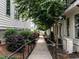 Landscaped walkway between two modern-style townhomes at 1610 Draper View Loop # 101, Raleigh, NC 27608