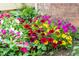 Close-up of vibrant flowers in a landscaped garden bed, adding color and charm to the home's exterior at 200 Holly Branch Dr, Holly Springs, NC 27540