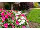 Landscaping featuring colorful flowers next to a low retaining wall and healthy green grass at 200 Holly Branch Dr, Holly Springs, NC 27540