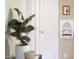 Hallway showcasing vintage phone niche, white door, framed flower art and a leafy plant in the foreground at 2423 Farthing St, Durham, NC 27704