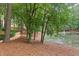 Picturesque walking path beside a serene pond and fountain, lined with lush trees at 304 Gold Point Dr, Cary, NC 27519