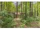 Wood backyard shed, blending in with the surrounding trees at 3304 Black Stallion Ct, Zebulon, NC 27597