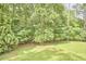 View of the backyard surrounded by lush greenery and beautiful landscaping at 3605 Laurel Creek Way, Durham, NC 27712