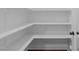 Walk-in pantry featuring ample shelving to provide storage for groceries and household essentials at 520 Flip Trl, Cary, NC 27513