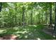 Wooded backyard with a patch of grass at 5464 Bass Mountain Rd, Snow Camp, NC 27349