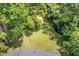A view of the backyard showing the foliage and the shed in the distance at 603 S Third St, Mebane, NC 27302