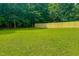 Spacious backyard featuring well-maintained green grass, a newly installed wooden fence, and wooded perimeter at 6305 Holly Ridge Rd, Rougemont, NC 27572