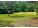 Large backyard with a new wooden privacy fence at 6305 Holly Ridge Rd, Rougemont, NC 27572