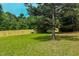 Lush green backyard featuring a newly installed wooden fence and mature trees at 6305 Holly Ridge Rd, Rougemont, NC 27572