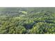 Beautiful aerial view of wooded property with a home nestled among the trees at 8226 Mcarthur Park Dr, Efland, NC 27243