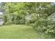 Lush green backyard featuring mature trees providing ample shade at 1104 Englewood Ave, Durham, NC 27701