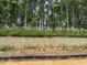 Landscaped retaining wall with new plantings at 148 Merrifield Ln # 128, Garner, NC 27529