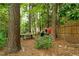 Secluded backyard featuring a wood-fired pizza oven and picnic table nestled amongst mature trees at 1606 Sycamore St, Durham, NC 27707
