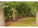 Serene backyard with mature trees, lush landscaping, and a privacy fence for a peaceful retreat at 202 Stoneleigh Dr, Cary, NC 27511